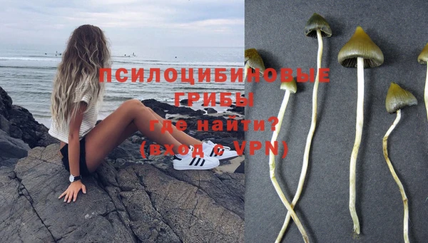 прущая мука Дмитровск